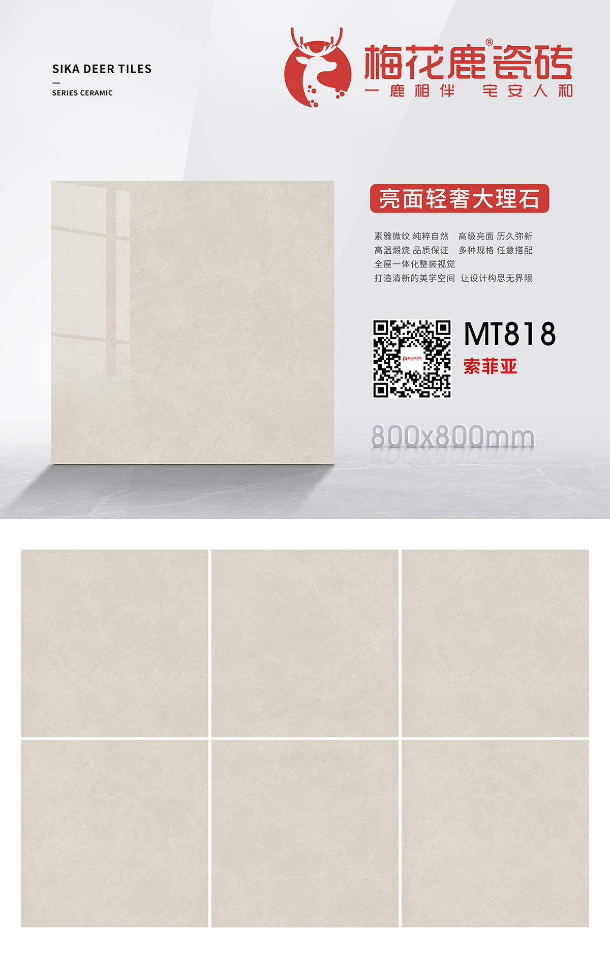 MT818 .jpg