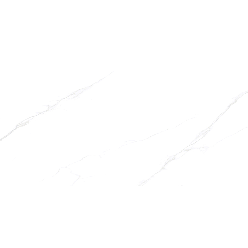 MT4825